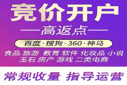 成功案例揭秘：百度竞价代运营如何助力企业腾飞