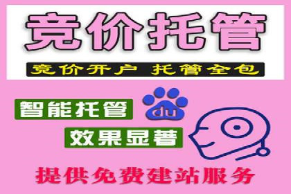 SEM代运营案例：优化搜索排名策略
