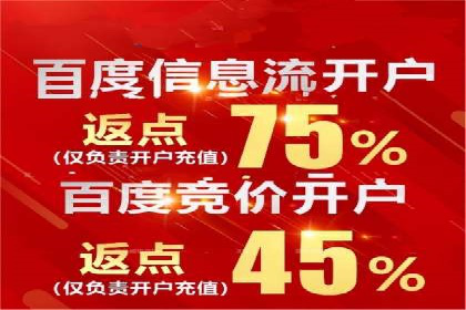 某科技公司SEM策略调整，实现业务快速增长